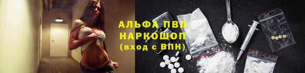 спайс Баксан