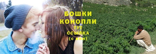 спайс Баксан