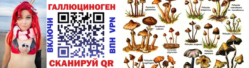 Галлюциногенные грибы мухоморы  Гудермес 